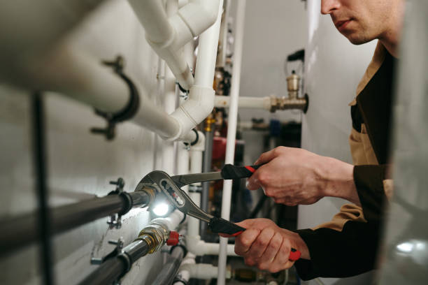 Best Drain Cleaning Services  in Festus, MO