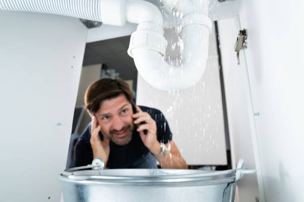 Best Commercial Plumbing Services  in Festus, MO