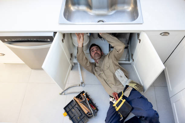 Best Toilet Repair Services  in Festus, MO