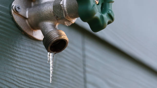 Best Affordable Plumber Near Me  in Festus, MO