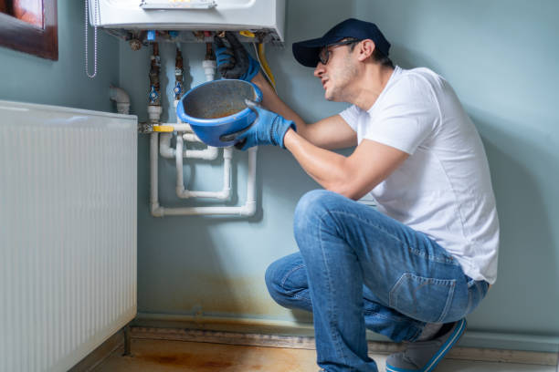 Best Local Plumber Services  in Festus, MO
