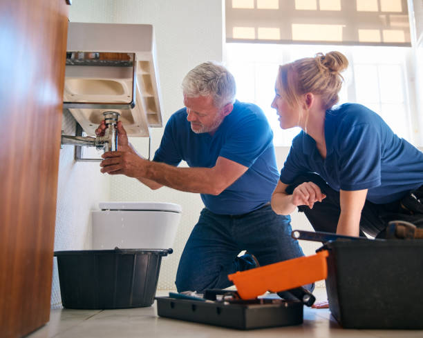 Best Plumbing Repair Near Me  in Festus, MO